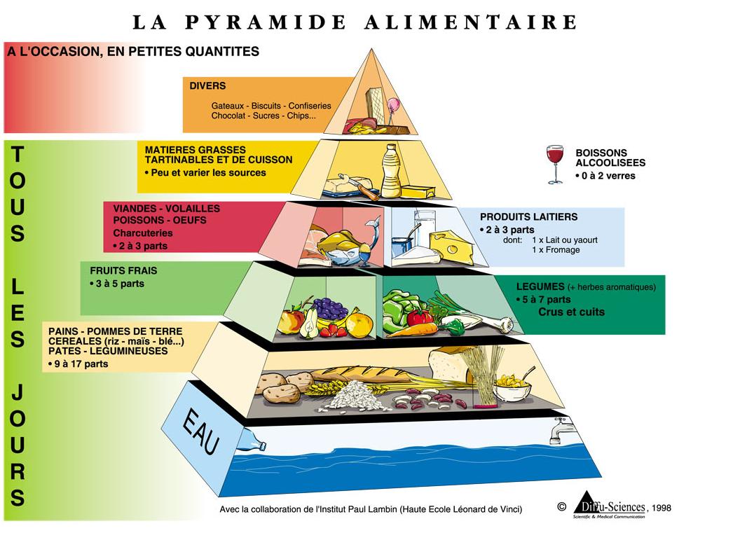 La pyramide alimentaire